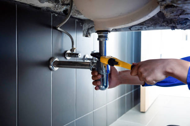 Best Commercial Plumbing Services  in Magnolia, NC